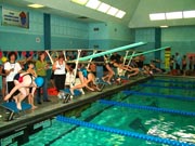 Aquatics